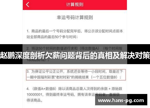 赵鹏深度剖析欠薪问题背后的真相及解决对策
