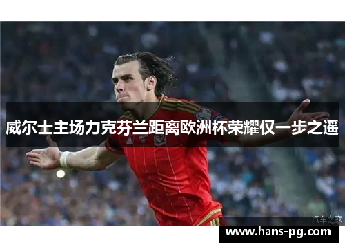 威尔士主场力克芬兰距离欧洲杯荣耀仅一步之遥 威尔士主场力克芬兰距离欧洲杯荣耀仅一步之遥